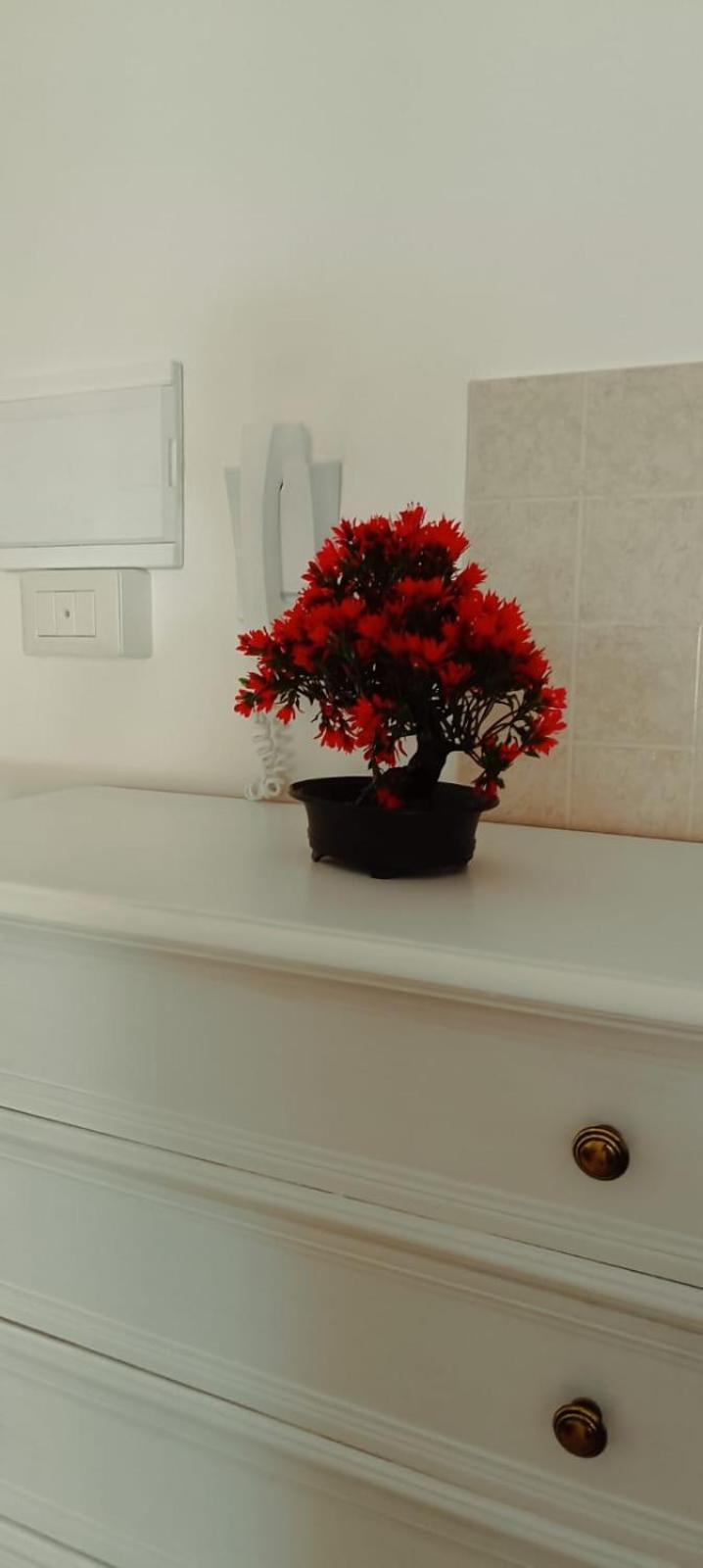 Apartment Naxos Sweet Dreams